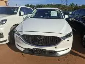 car Front