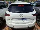 car Back