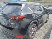 car Left Back