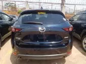 car Back