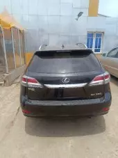 back