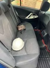 interiorBack