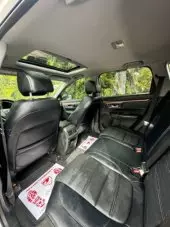 interiorBack