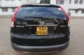 car Back