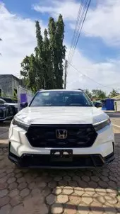 car Left Back