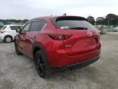 car Right Back