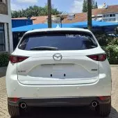 car Left Back