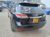 car Back
