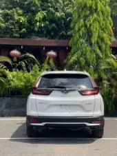 back