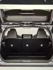 Trunk Image
