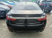 back