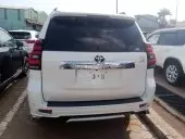 car Back