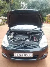 bonnet