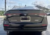 back