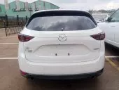 car Back