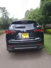 back
