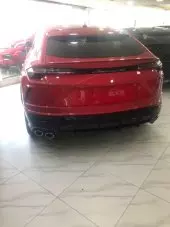 back