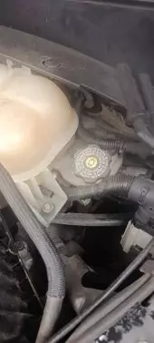 Brake Fluid Damage 1