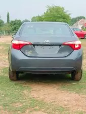 back