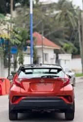 back