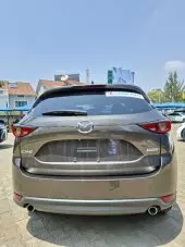 back