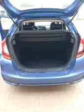 trunk