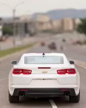 back