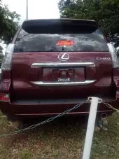 back
