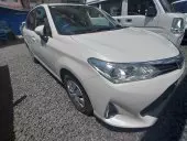 car Back