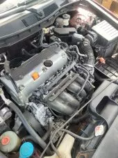 bonnet