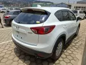 car Left Back
