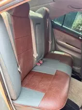 backSeats
