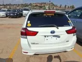 car Back