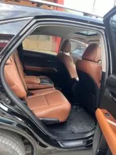 interiorBack