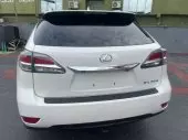 back