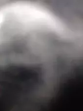 Exterior Scratches Damage 1