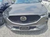 car Back