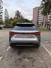 back