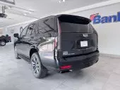 car Left Back