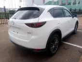 car Left Back