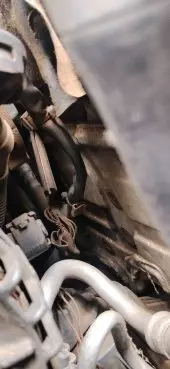 Transmission Oil Leakage Damage 1