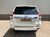back