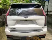 back
