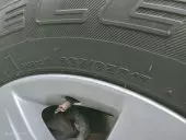car Left