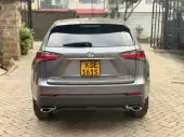 back