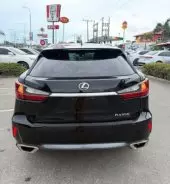 back