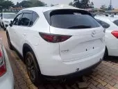 car Left Back