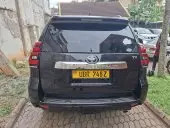 car Back