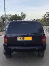 back