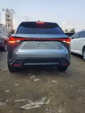 back